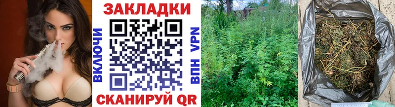 Купить наркоту Циолковский Марихуана  СК  МЕФ  КОКАИН 