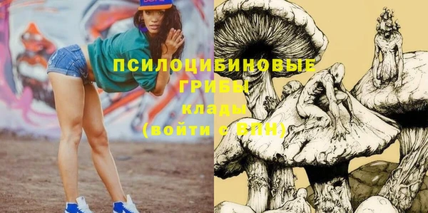ешки Алексеевка